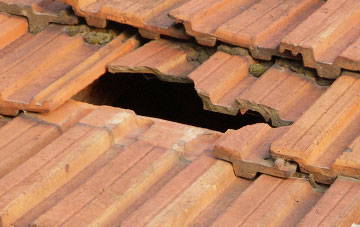 roof repair Raise, Cumbria