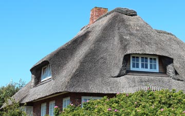 thatch roofing Raise, Cumbria